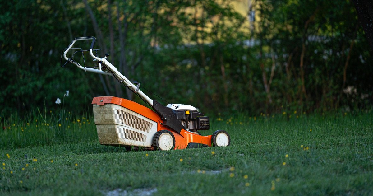 Orange push lawn mower on a green lawn with trees behind it